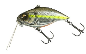 #961 イマエセクシー