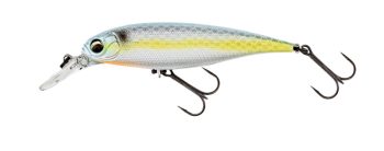 #931 セクシーシャッド