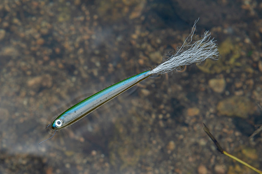 Rainbow SHAD Synthetic Tail