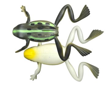 #S-343 リアルトノサマガエル