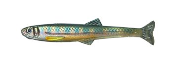 #S-646 ハーフスケルトンオイカワ